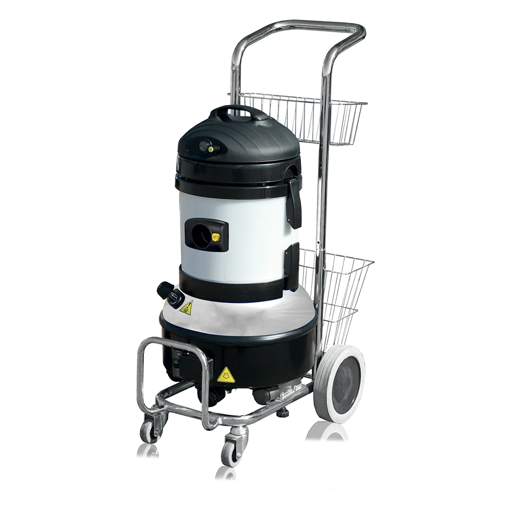 Gamma Carmen Inox