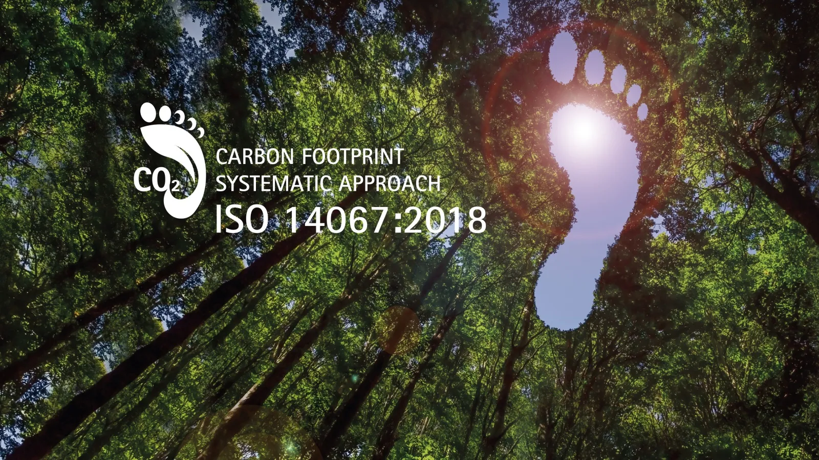 Carbon Footprint CFP